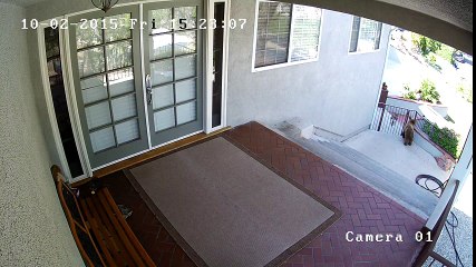 Amazing Dog Scares Off Bears