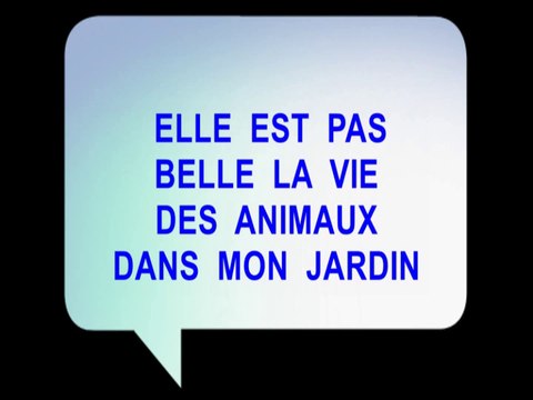 LA VIE DES ANIMAUX DEVANT MA PORTE