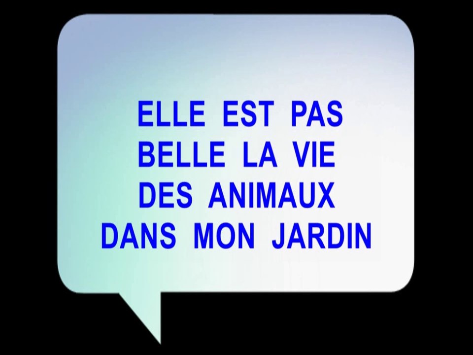 LA VIE DES ANIMAUX DEVANT MA PORTE