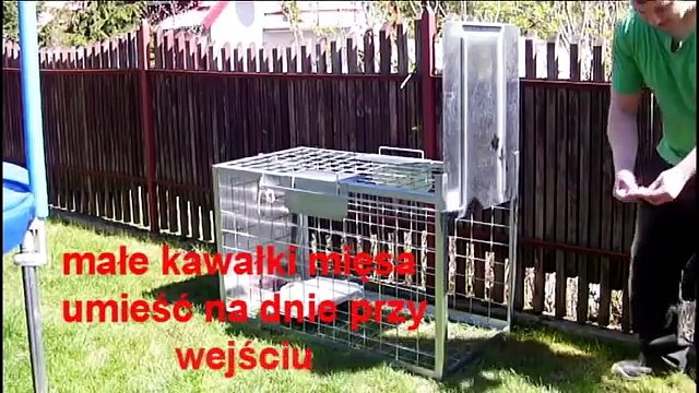 Pułapka na psy. rmAx
