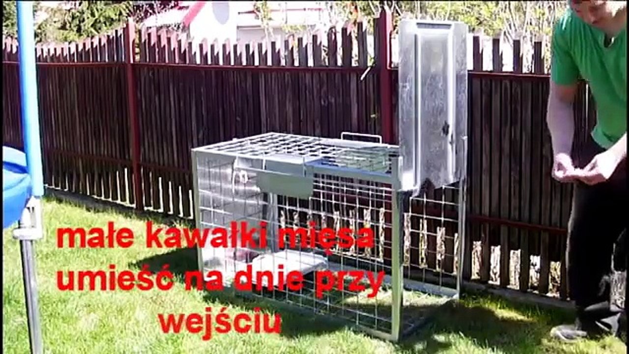 Pułapka na psy. rmAx
