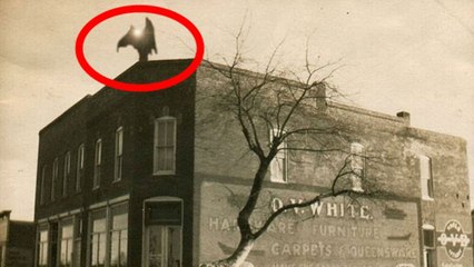 10 Flying Creature Mysteries Caught On Camera