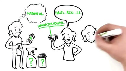 Everyday Roots Book Review