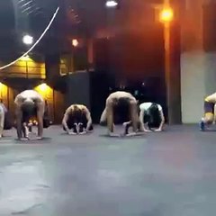 Tona entrenando tacfit