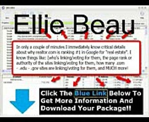Seo Elite Reviews + Seo Elite 4 2 rar