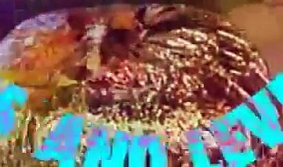 Perfect Hair Forever Season 2 Episode 1 FULL EPISODE