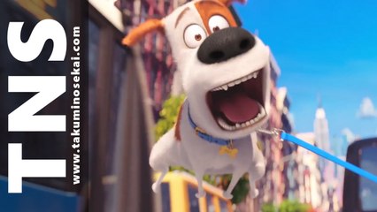 Comme Des Bêtes - Bande annonce 2 VF