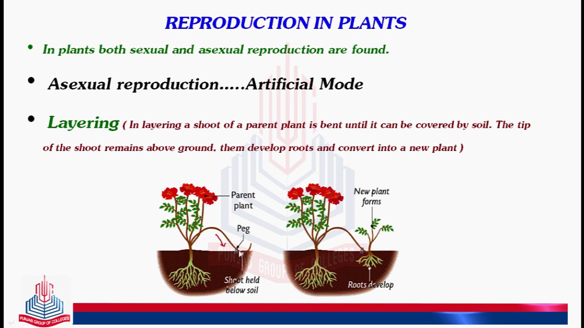 Reproduction in Plants [ Asexual Reproduction ( Layering , Grafting &  Budding ) - video Dailymotion