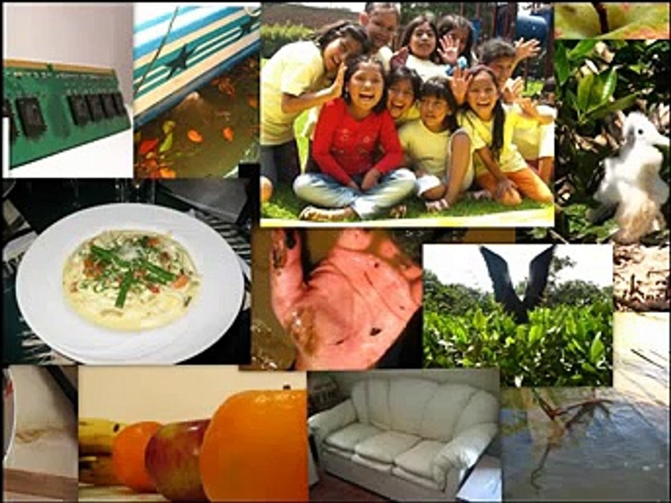 Foto Dinero Fácil, toma fotos, súbelas a internet y gana dinero