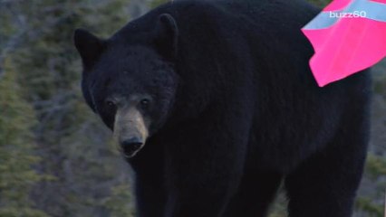 The most ridiculous excuses people use for being late to work