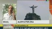 Brasil registra 270 casos de microcefalia relacionados con virus zika