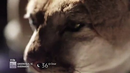 Natural Born Monsters – Season 1 Episode 8