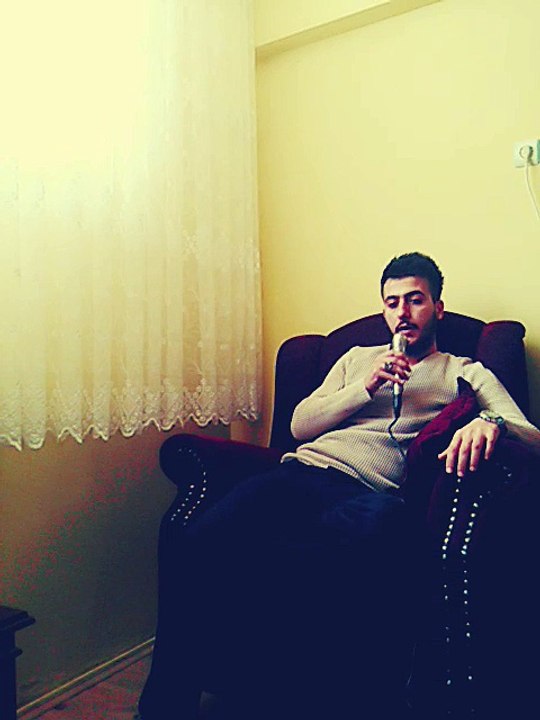 dallarını