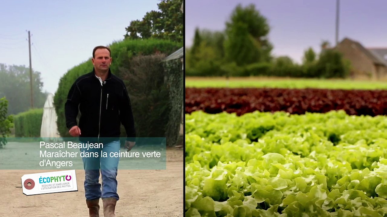 EcoPhyto - Portrait de Pascal Beaujean