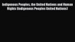 Indigenous Peoples the United Nations and Human Rights (Indigenous Peoples United Nations)