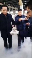 Mira cómo estos peces congelados regresaron a la vida