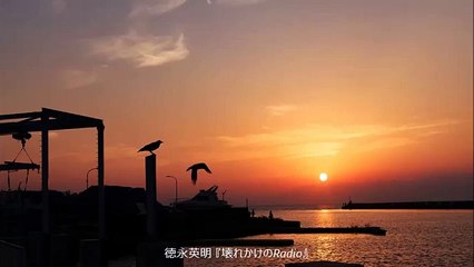 徳永英明 / 壊れかけのRadio