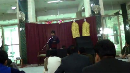 Syed Ali Murtaza - Manqabat Meri Baqa Hussain a.s hy