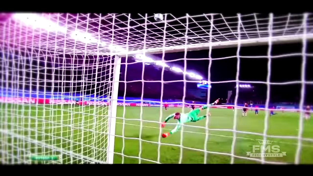 TOP 5 GOAL SAVED 2015