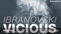 Ibranovski - Vicious