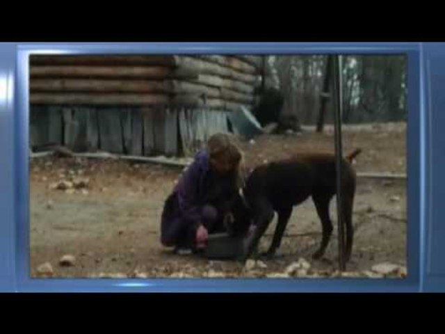 Winter's Bone - Trailer