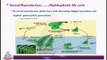 Reproduction in Plants [ Sexual  Reproduction ( Isomorphic Alternation of Generation & Heteromorphic Generation ) ]