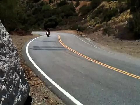 Motorcycle Crash - Suzuki GSXR Lowsides on Mulholland Hwy