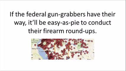 Ammo Independence - The Firearms Survival Guide