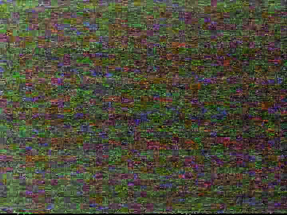 Ecole du Tigre volant au Salon des Arts martiaux Parc floral de Paris en 1995