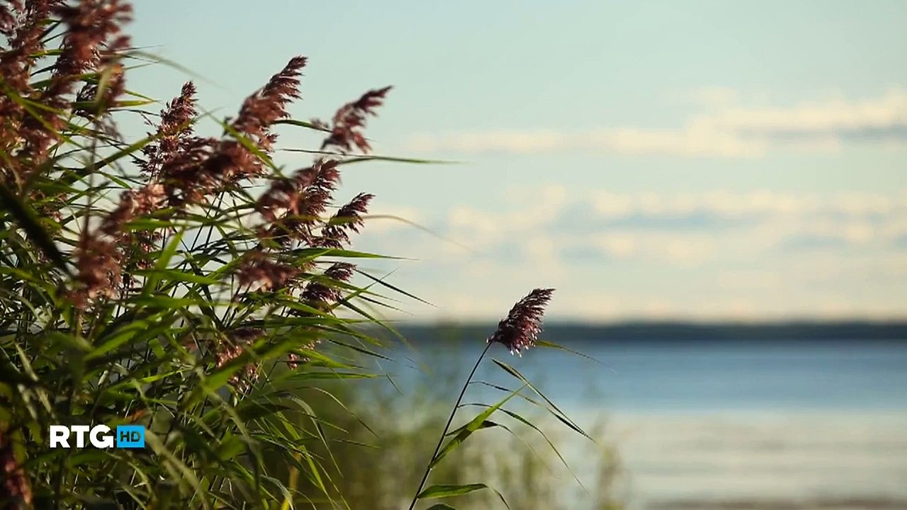 Природа острова Коневец