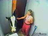 Girl Gets Pancaked By A Cow - La Vaca Loca