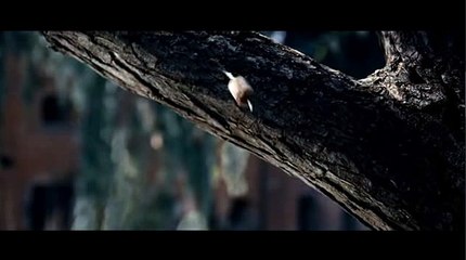 룰렛게임방법↕WKW22。COM↗바카라추천사이트㉿양방배팅계산기