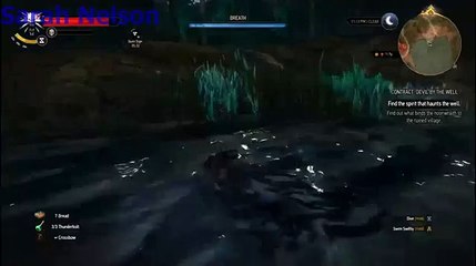 The Witcher 3 Walkthrough 13