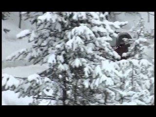 Ruote in Pista n. 2201 - Le News di Autolink