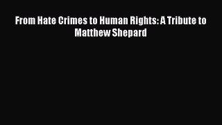 From Hate Crimes to Human Rights: A Tribute to Matthew Shepard  Free PDF