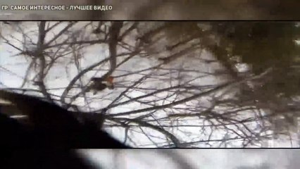 Белка утащила камеру