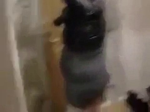 Мамка над дочкой угарает какой клуб ты себя видела )) ахахахахахахаха