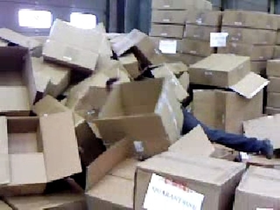 Salto carton david et teddy