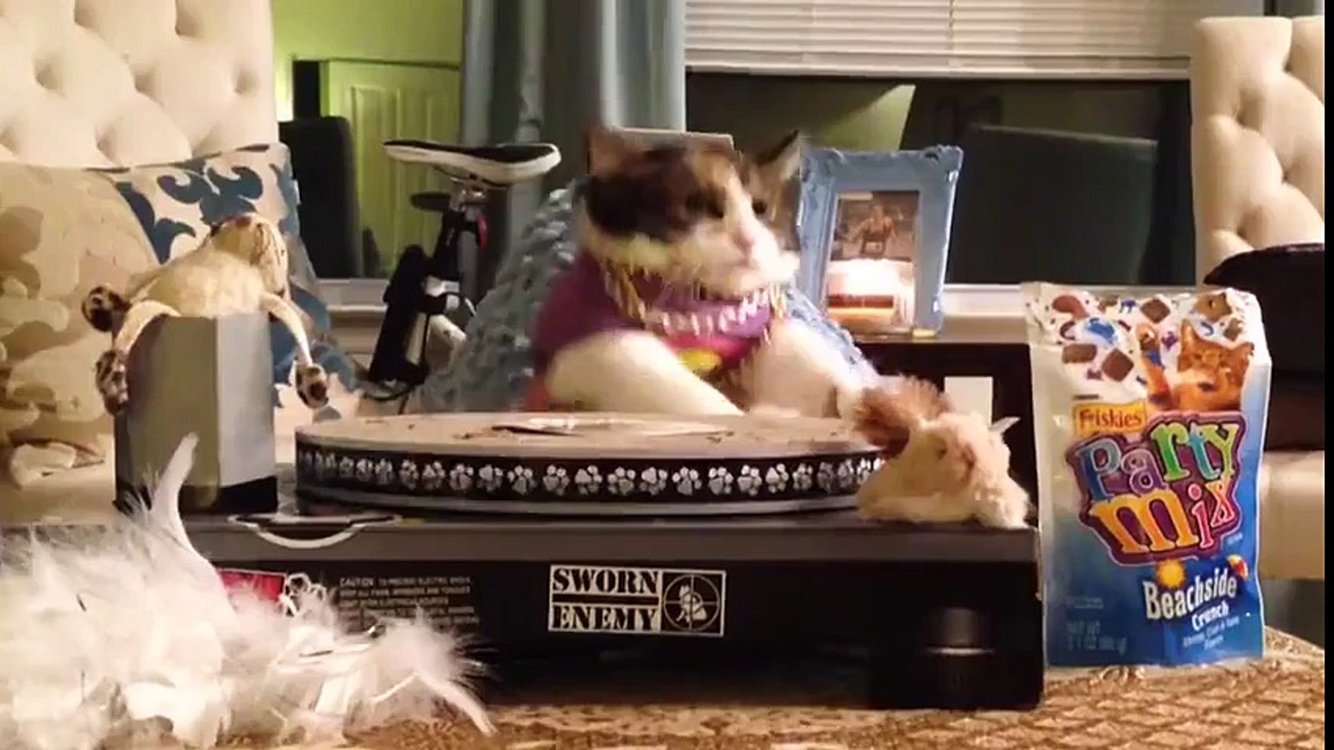 ⁣EDM Cats (Funny Cats Compilation)