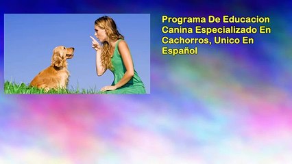 Como Educar A Un Cachorro