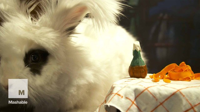 4 classic romantic film scenes recreated by rabbits for your Valentine’s Day binge (all the feels)