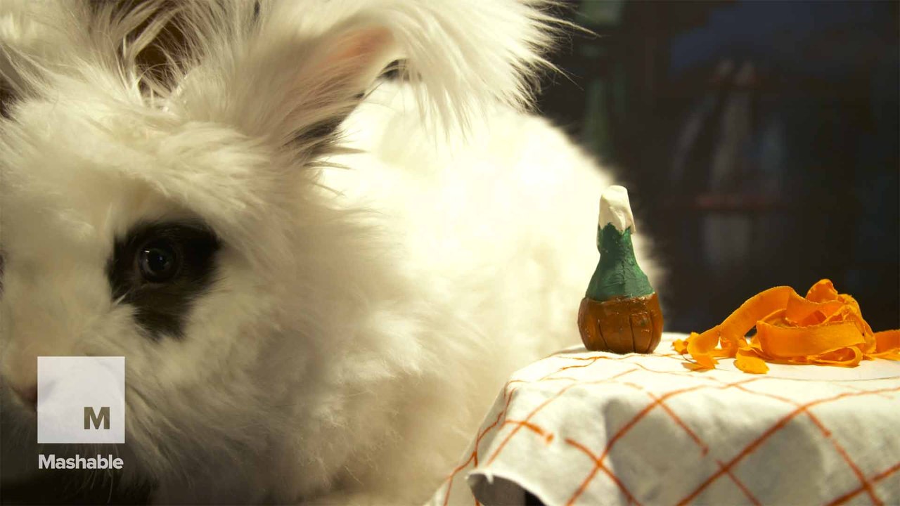 4 classic romantic film scenes recreated by rabbits for your Valentine’s Day binge (all the feels)