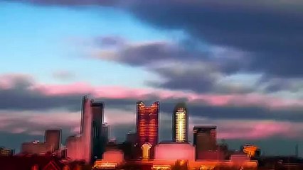 Bichon Frise Plays Ball