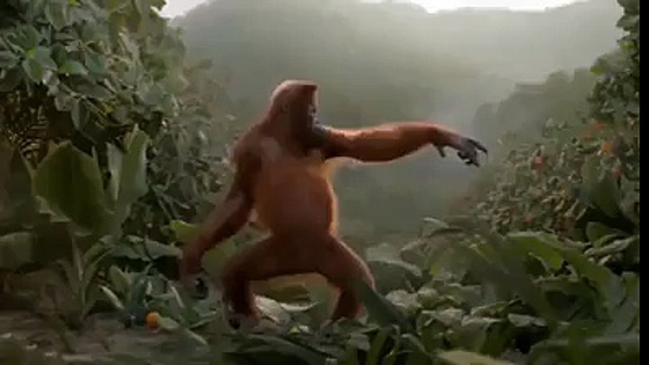 monkey dance