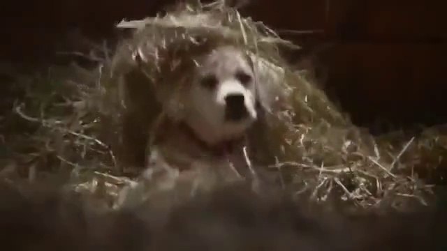 Прям мурашки по коже! Смотреть всем