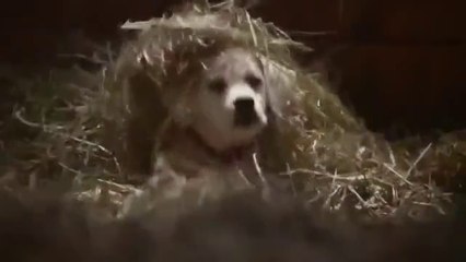 Прям мурашки по коже! Смотреть всем