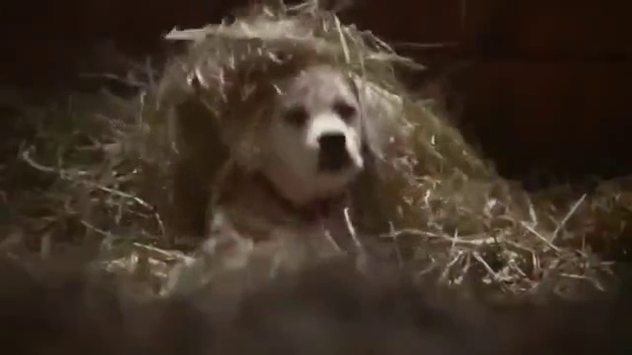 Прям мурашки по коже! Смотреть всем