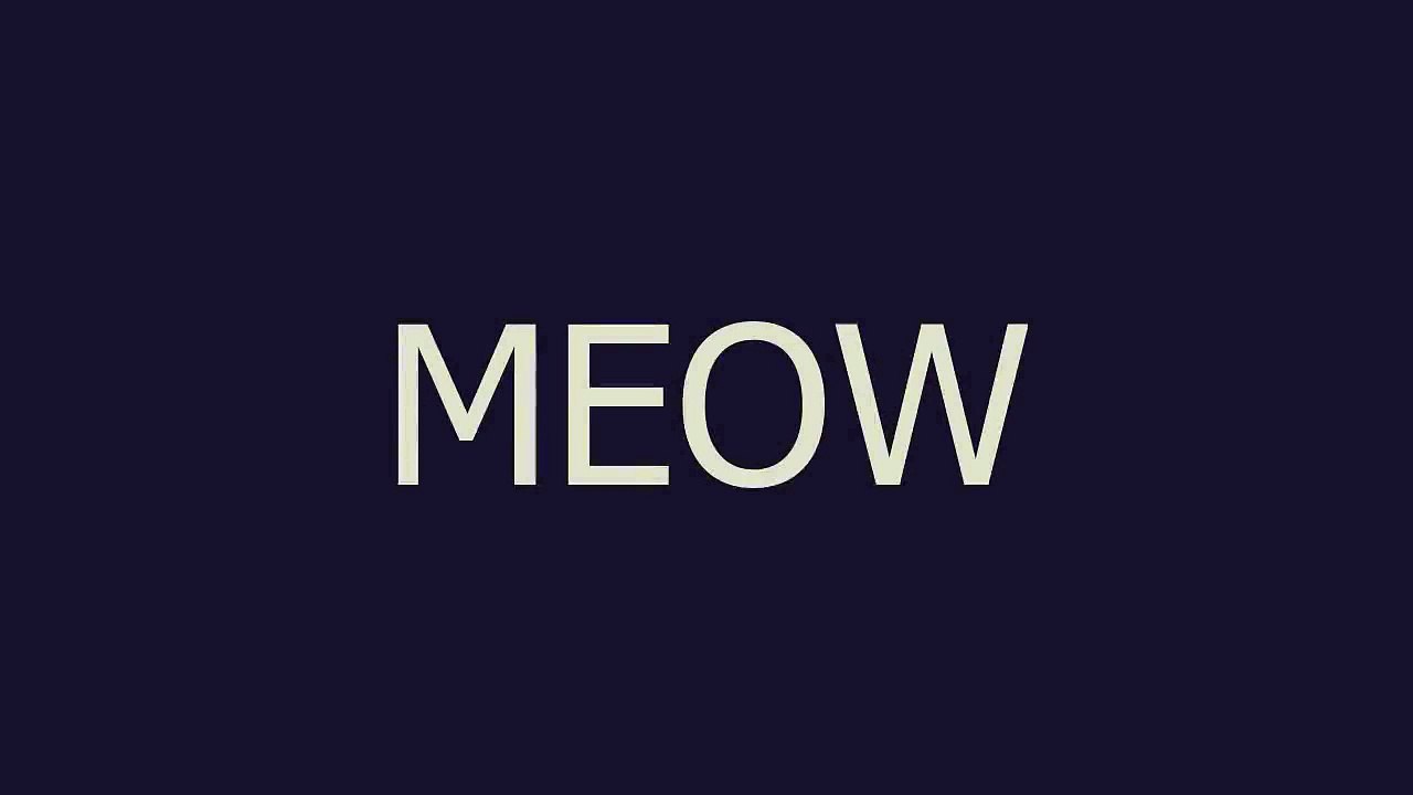 MEOW meaning and pronunciation