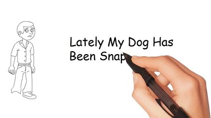 The Dog Training System You Have Always Wanted