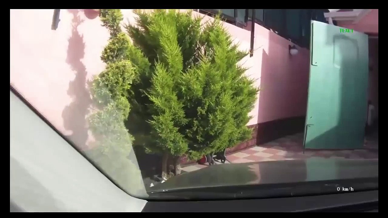video 15